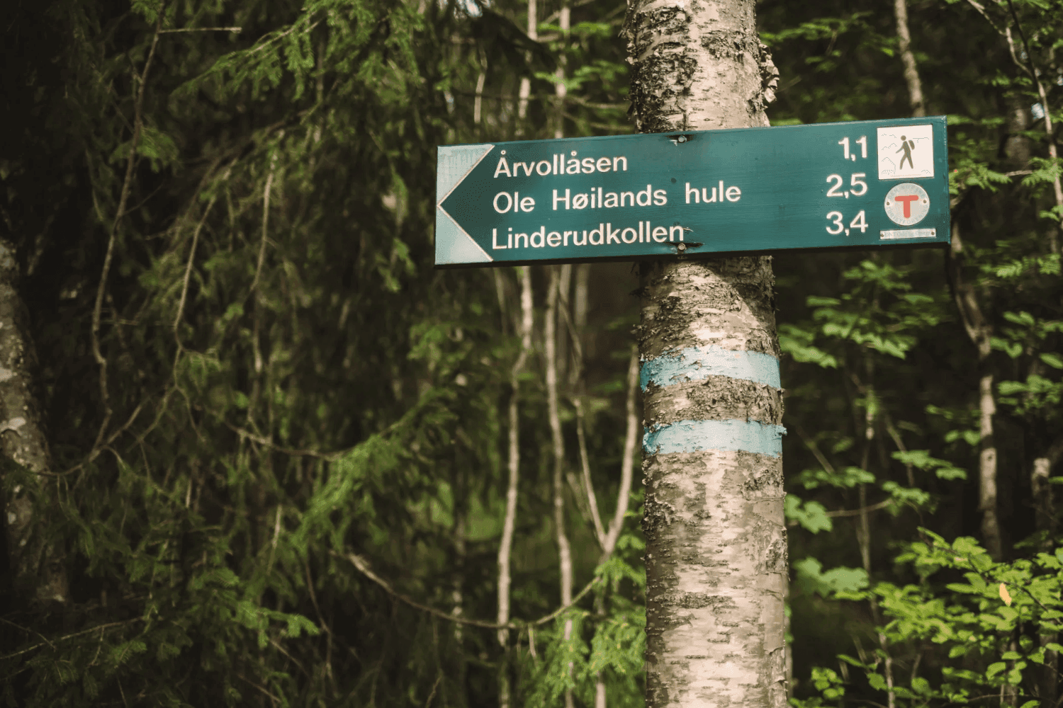 Kort vei til både byen og marka fra Linderudløkka